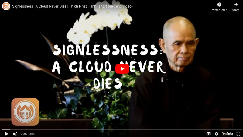 Signlessness video thumb